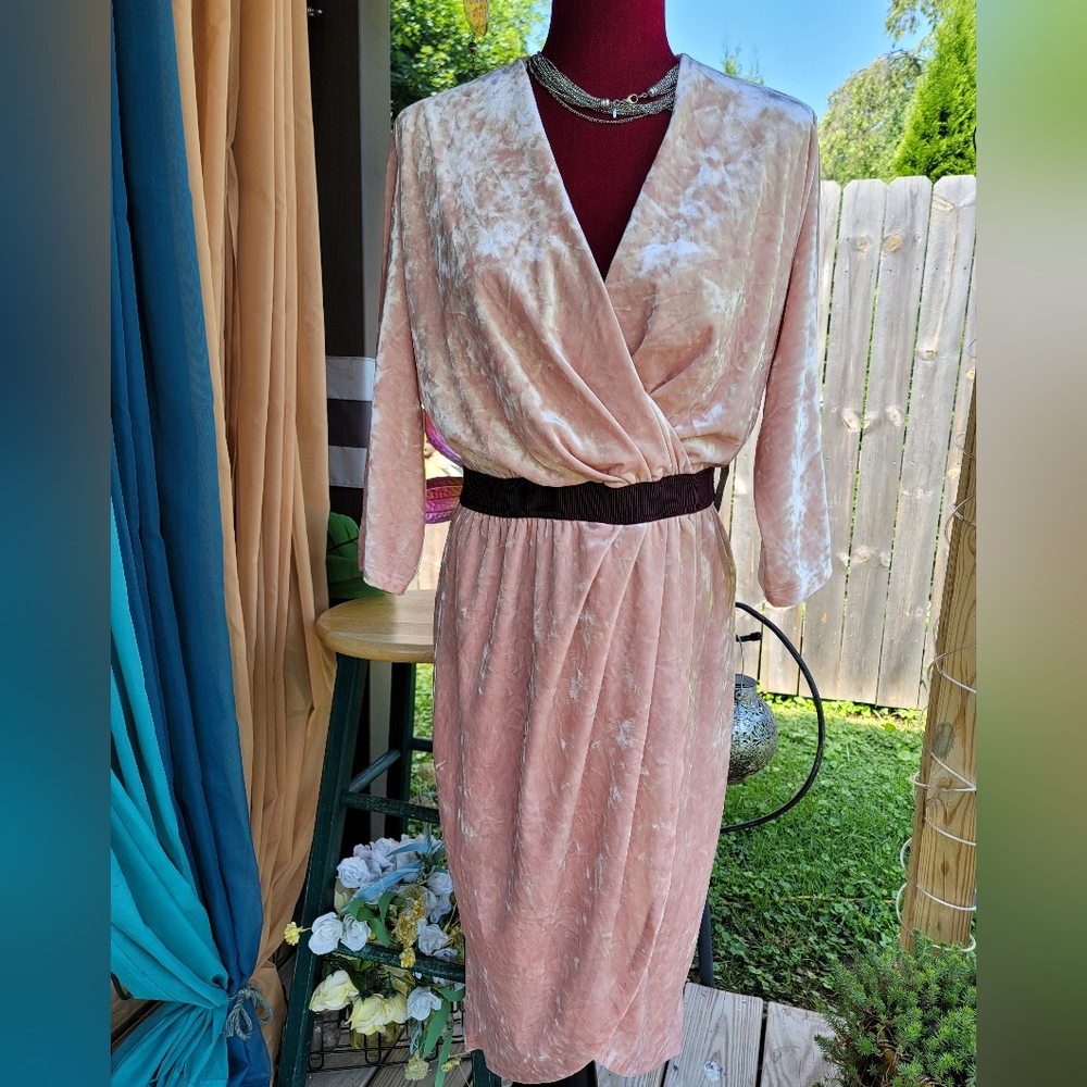 Trendy Velour Dress